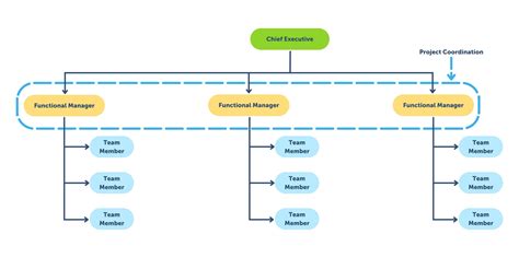 Project Organization Chart The Complete Guide Free Templates