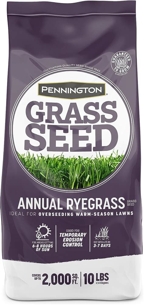 Pennington Annual Ryegrass Grass Seed 10 Lb Patio Lawn And Garden