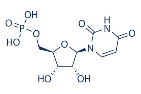 Uridine 5 Monophosphate 98hplc In Stock Dnarna Synthesis