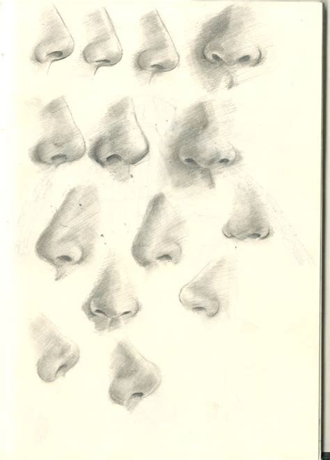 Nose Studies By Povan On Deviantart