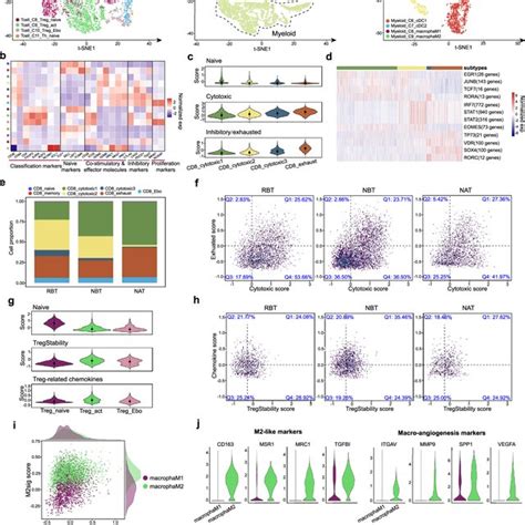 Detailed Characterization Of Immune Cells In Tme Of Hpc A Download Scientific Diagram