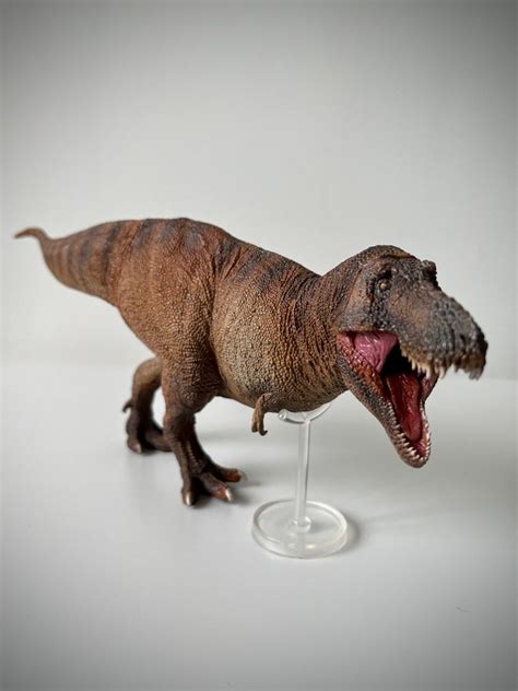 PNSO Dinosaur Museum Tyrannosaurus Rex 1 35 Hobbies Toys