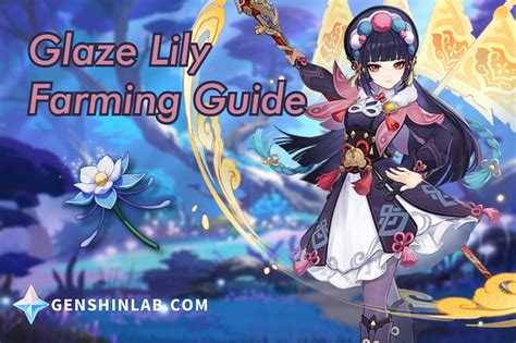 Glaze Lily Farming Guide For Yun Jin Genshinlab