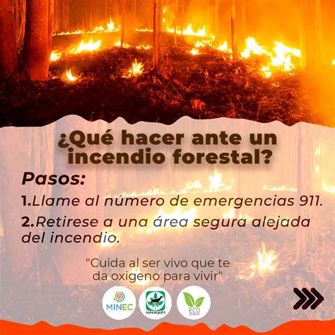 Inparques Oficial On Twitter Atenci N Si Observas Alg N Incendio