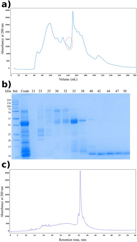 Purification Of Ajwain Nsltp1 A Fractionation Profile Of Ammonium Download Scientific