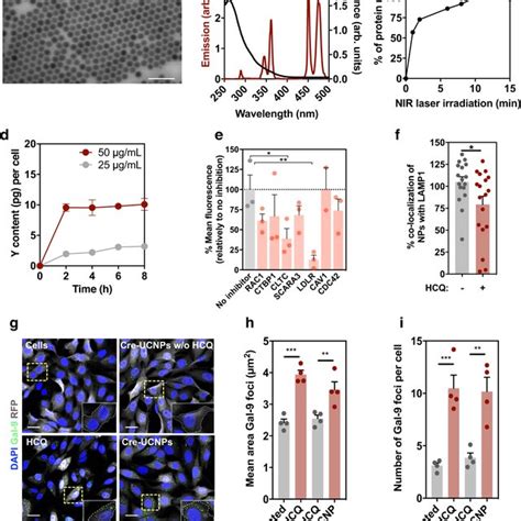 In Vitro Gene Editing Of Cortical Neurons By Cre UCNPs Followed By