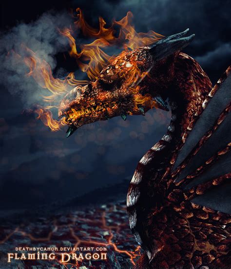 Flaming Dragon by deathbycanon on DeviantArt