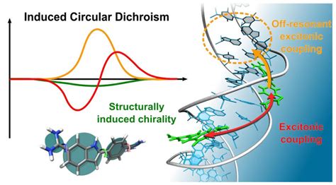 Application Of Circular Dichroism Spectroscopy In Nucleic Acid Research Creative Biostructure