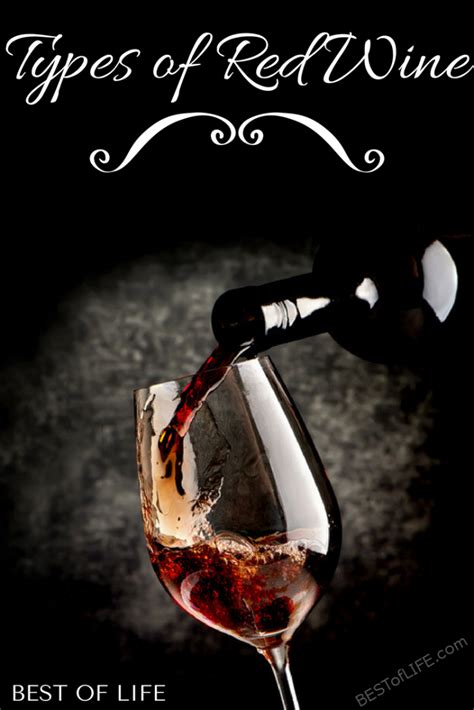 Types Of Red Wine A Guide And Tips For Everyone The Best Of Life