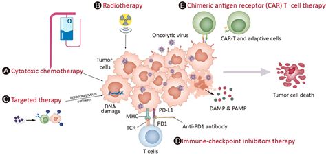 Frontiers Oncolytic Virotherapy In Cancer Treatment Challenges And