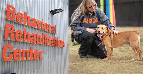 Celebrating Five Years Of Second Chances Through The Aspca Behavioral