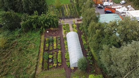 Home Stekkers Planten Voor Je Eetbare Tuin En Voedselbos