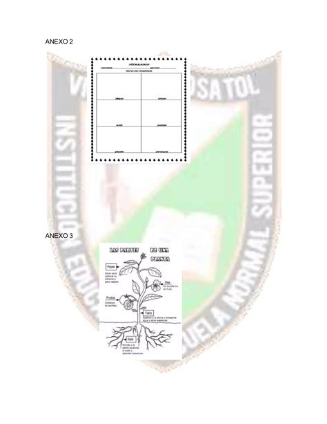 Microclase Las Partes De La Planta 2 PDF