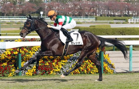 【2歳新馬・阪神5r】セレシオンが断然人気に応え3馬身半差の完勝！｜競馬ニュース｜競馬予想のウマニティ