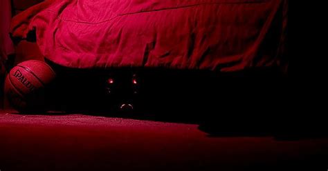 I Am The One Hiding Under Your Bed Imgur