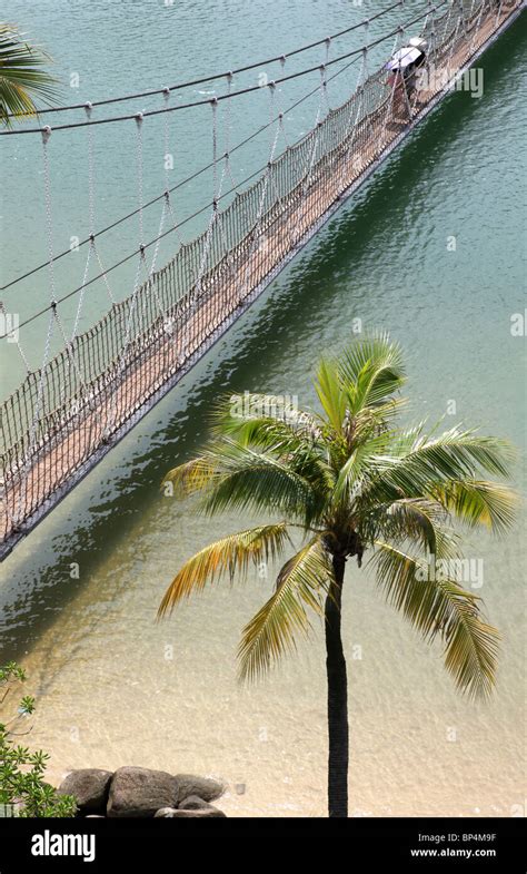 Puente Colgante Cuerda De Madera Puente Palawan Playa Sentosa