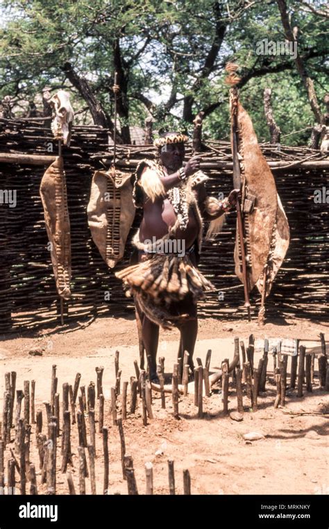 Zulu People At The Shakaland Zulu Village Nkwalini Valley Kwazulu Natal South Africa Stock