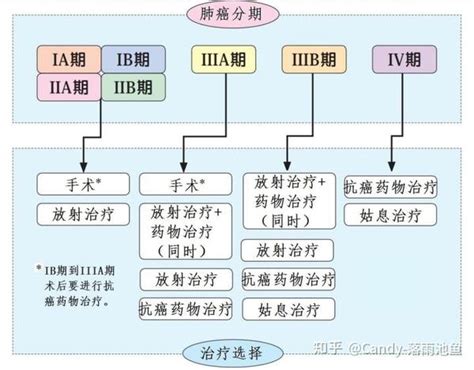 肿瘤分型、分级、分期 知乎