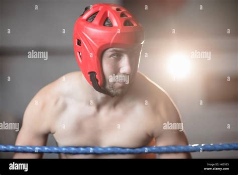 Boxer At Rest Stock Photos And Boxer At Rest Stock Images Alamy