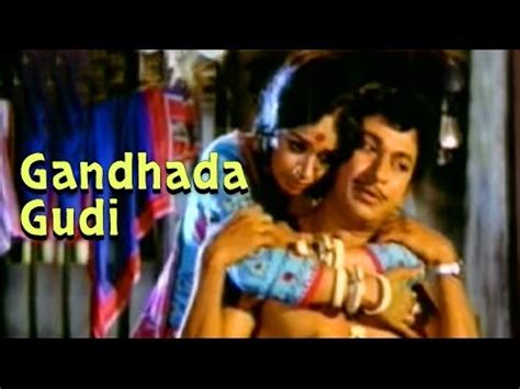 Gandhada Gudi Full Kannada Movie Youtube