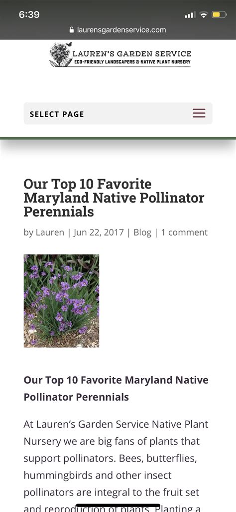 Our Top 10 Favorite Maryland Native Pollinator Perennials Laurens