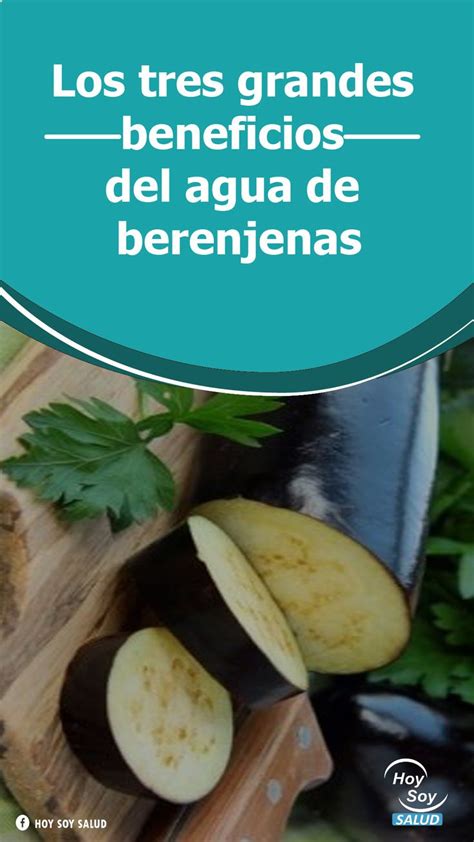 Los Tres Grandes Beneficios Del Agua De Berenjenas Agua De Berenjena