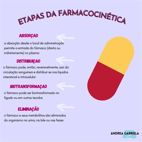 Quais As Fases Da Farmacocin Tica Revoeduca