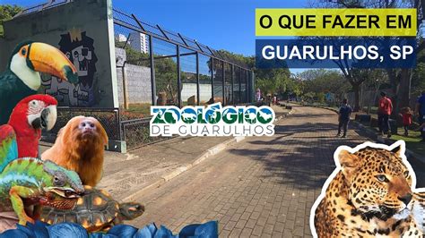 O QUE FAZER EM GUARULHOS ZOOLÓGICO GUARULHOS YouTube