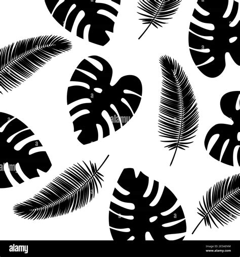 Vector fondo hojas tropicales patrón Color blanco y negro Imagen