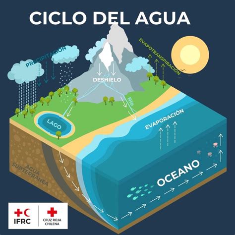 Cambio Climático Problemas Y Consecuencias Graves En El Ciclo Del Agua