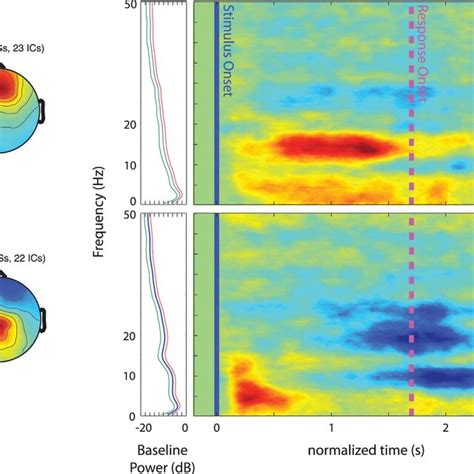 Scalp Maps And Ersps Associated With Clusters Of Ics Centered In