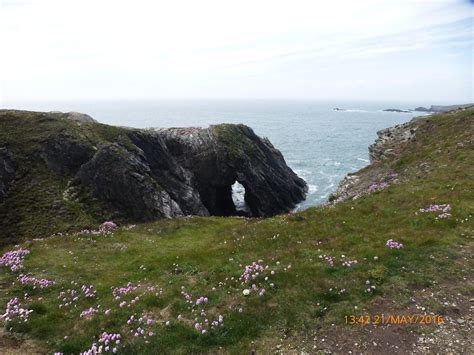 Harris Hikers: Holyhead breakwater Country Park and More 21st May 2016