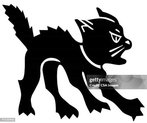 Angry Cat Tail Photos and Premium High Res Pictures - Getty Images