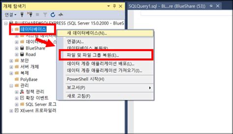 Mssql 데이터베이스 백업 및 복원 하는 방법