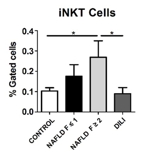 Percentage Of Invariant Natural Killer T Inkt Cells In T Lymphocytes