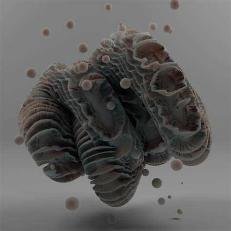 Organic Abstract Behance