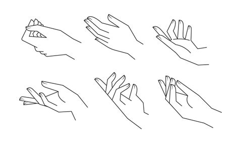 Aesthetic Hands Vector Linear Illustrations Stylized Elegant Hand