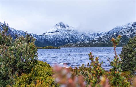 Snow on Cradle Mountain Photograph by Fiona McNicol