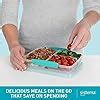 Sistema To Go Multi Split Food Storage Container Ml Colors May