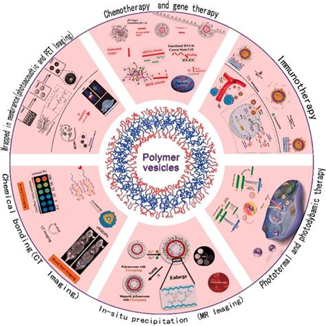 Frontiers Research Progress And Prospects For Polymeric Nanovesicles