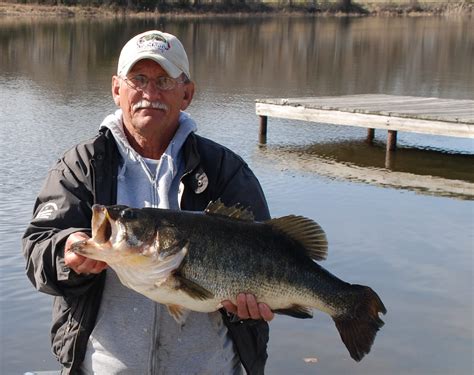 Lake Athens produces another huge Texas largemouth bass - Texas Hunting ...