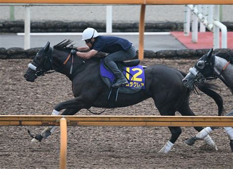 【スプリンターズs】ナムラクレア 鋭くひと伸び 浜中「いい状態で向かえそう」 競馬ニュース Netkeiba