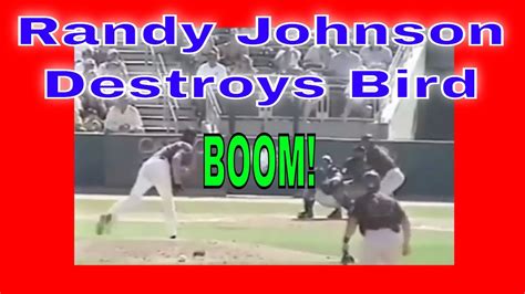 Randy Johnson Destroys Bird Bird Hit By Baseball Funny Videos And