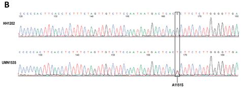 Genes Free Full Text Whole Exome Sequencing Wes Reveals Novel Sex Specific Gene Variants