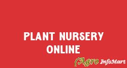 Plant Nursery Online In East Godavari Flowering Plants Supplier