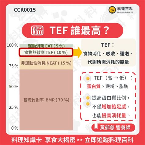 你的tdee是多少？了解每日總消耗熱量 Ipedia 百科｜工安・料理・營養保健・經營管理百科