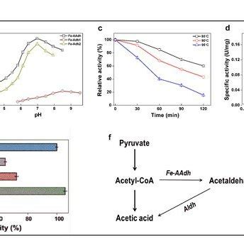 Properties of the bifunctional aldehyde/alcohol dehydrogenase (AAdh ...