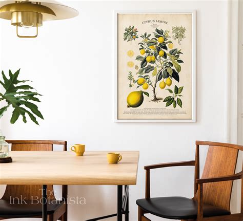 Vintage Lemon Tree Print Citrus Poster Botanical Poster Etsy