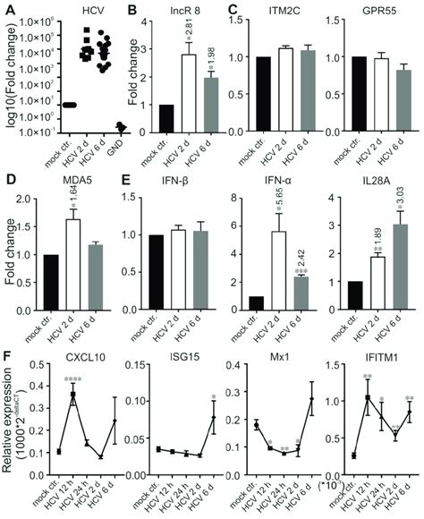 Lncr 8 And Ifitm1 Are Upregulated By Hcv Infection The Expression Of Download Scientific