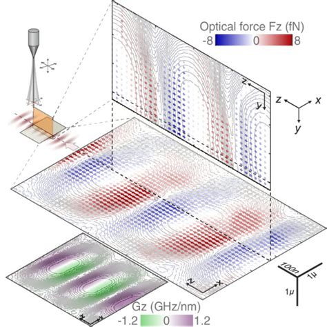 Nano Optomechanical Mapping Of The Intracavity Force Field We Show